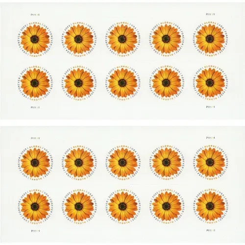Global African Daisy 2022 - 5 Sheets 100 Pcs Unused Stamps for Mailing